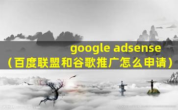google adsense（百度联盟和谷歌推广怎么申请）